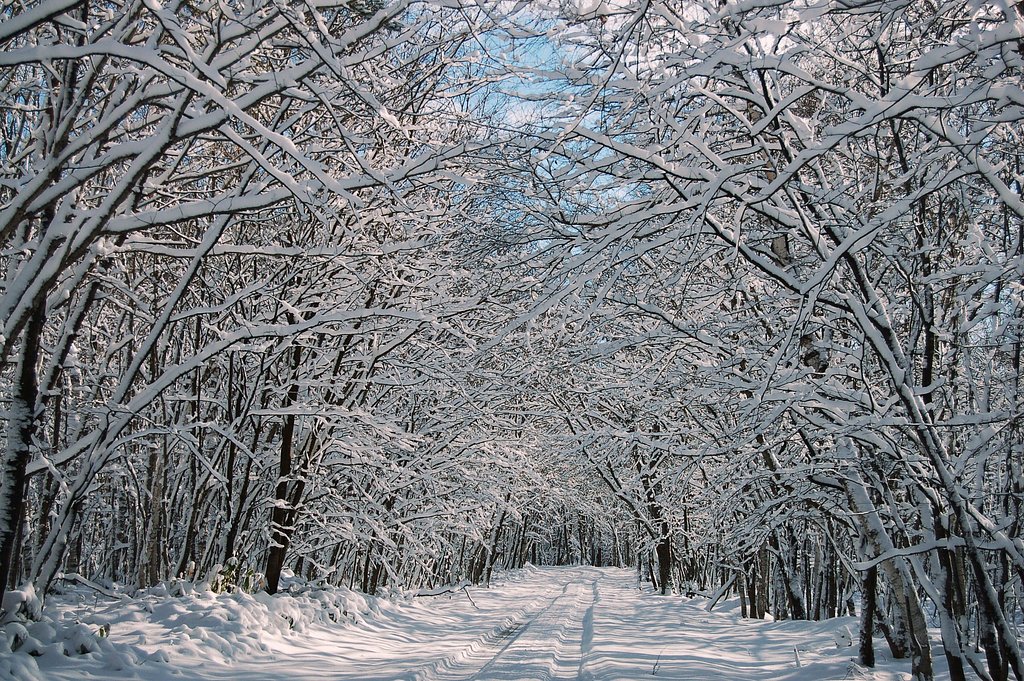 雪のトンネル