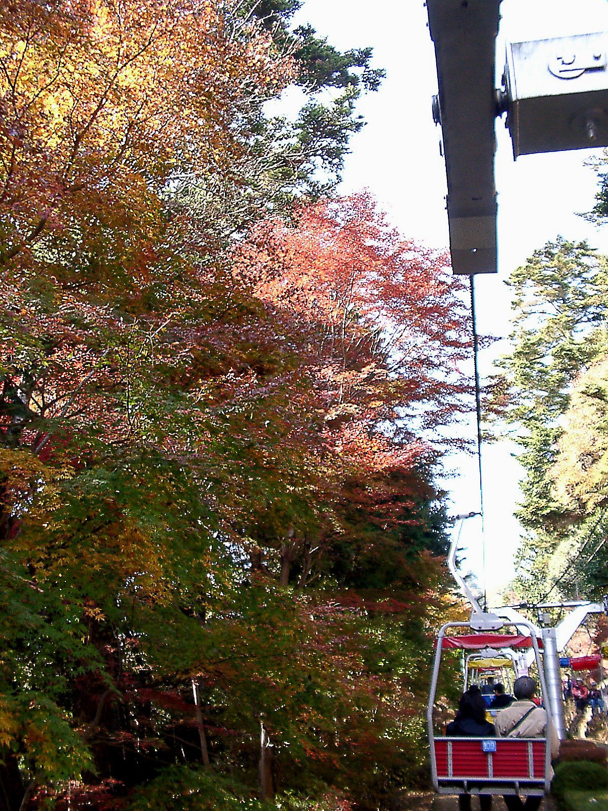 ◆紅葉スケッチ-15 高尾山⑪