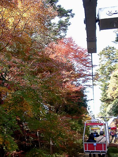◆紅葉スケッチ-15 高尾山⑪