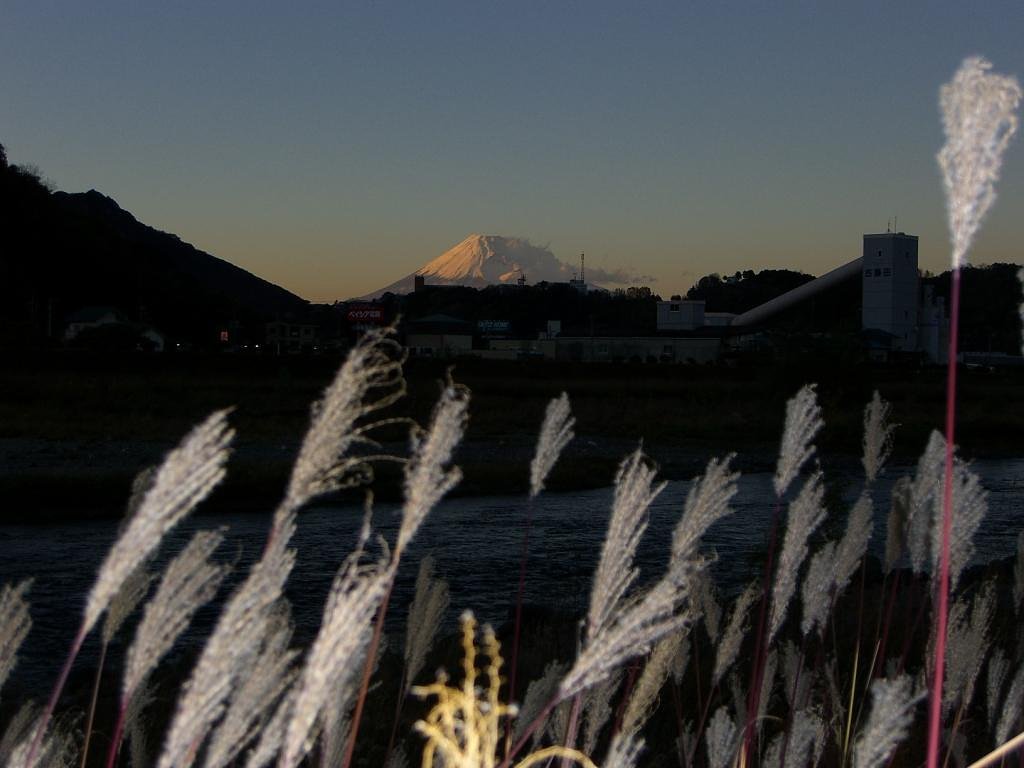 晩秋のススキに富士山