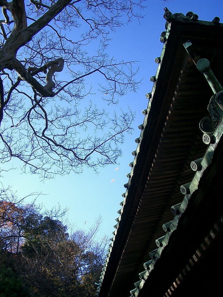 〜　いざ鎌倉（英勝寺-0１）　〜