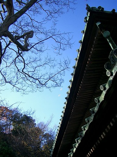 〜　いざ鎌倉（英勝寺-0１）　〜