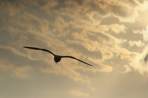 旅立ち
