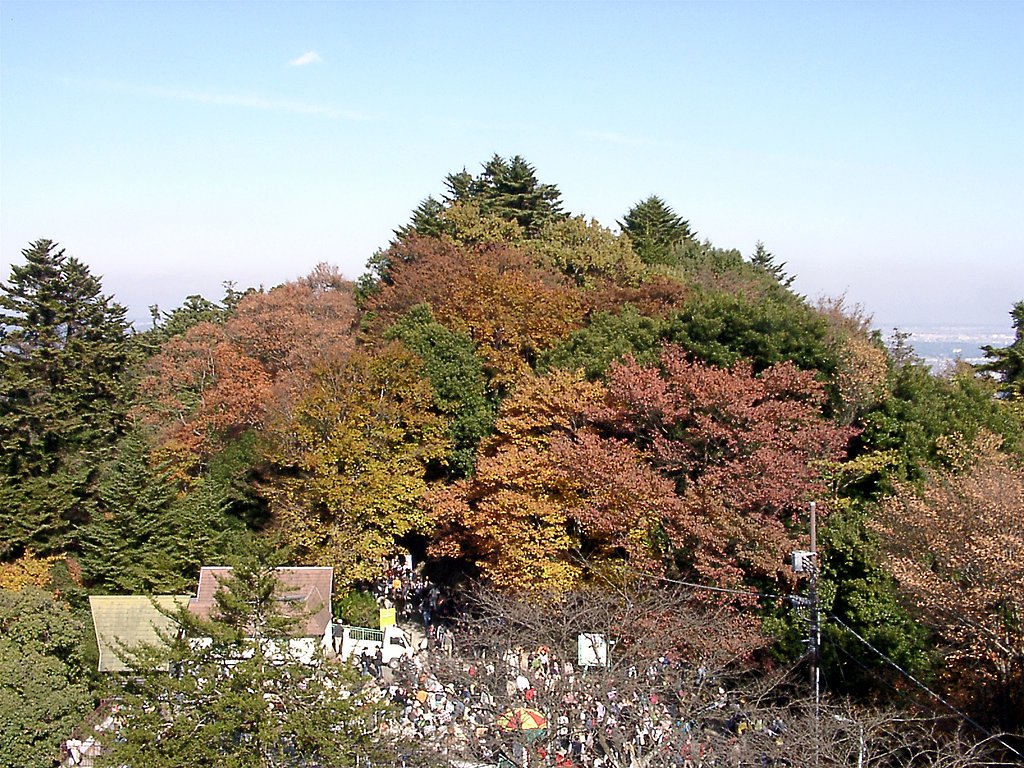 ◆紅葉スケッチ-18 高尾山⑭