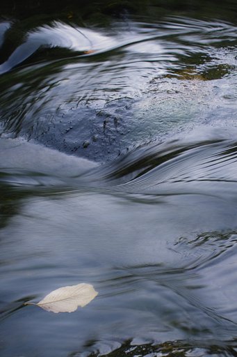 流れ