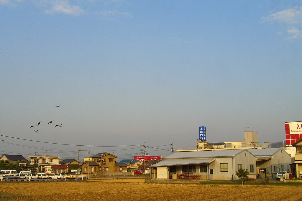 靄の掛かった朝空