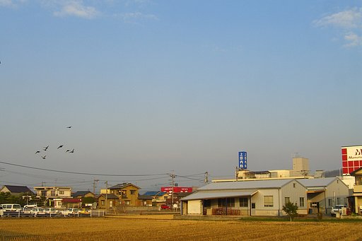 靄の掛かった朝空
