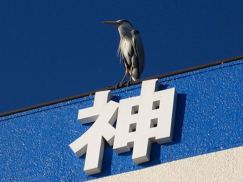 神・・・ですか？