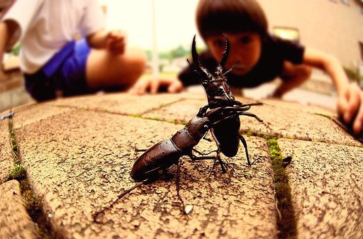 【２００８】　バ ト ル