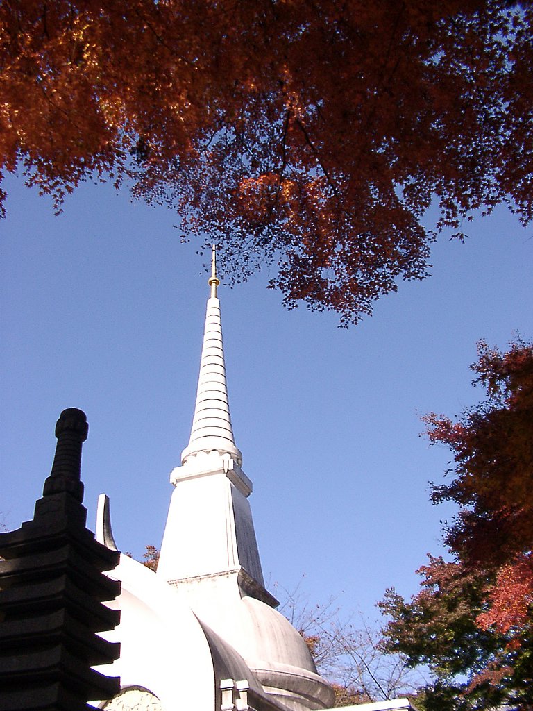 ◆紅葉スケッチ-23 高尾山⑲