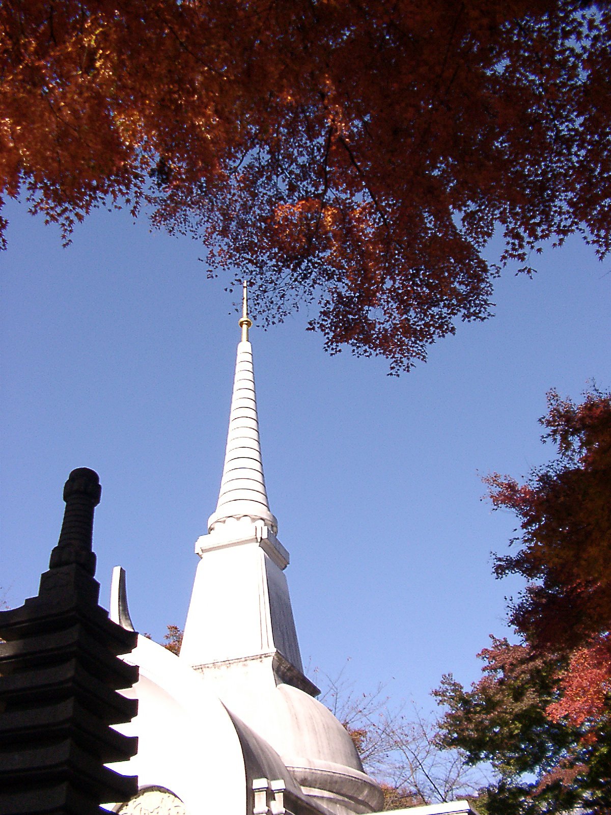 ◆紅葉スケッチ-23 高尾山⑲