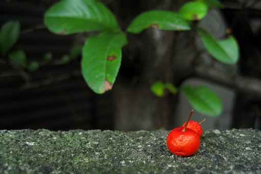 赤いのがころがって♪
