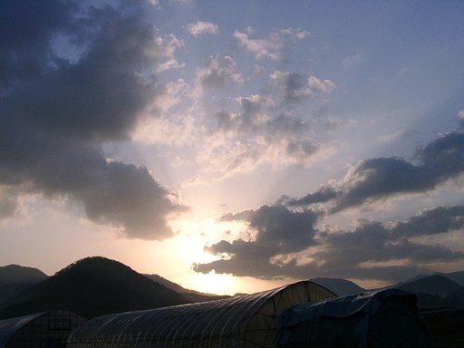 霧の深い今朝の日の出