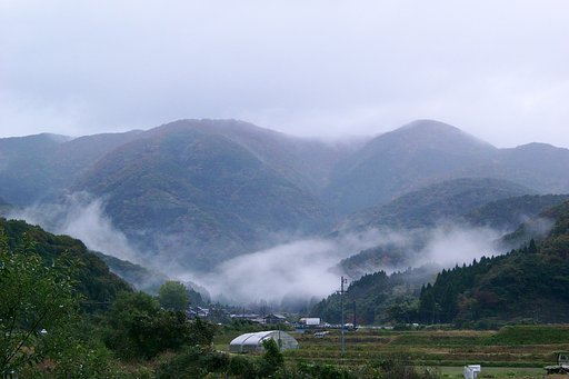 霧の深い朝！