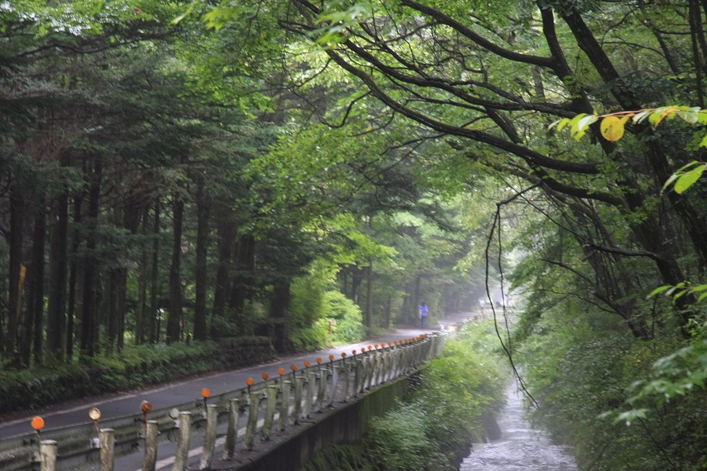 ここも軽井沢