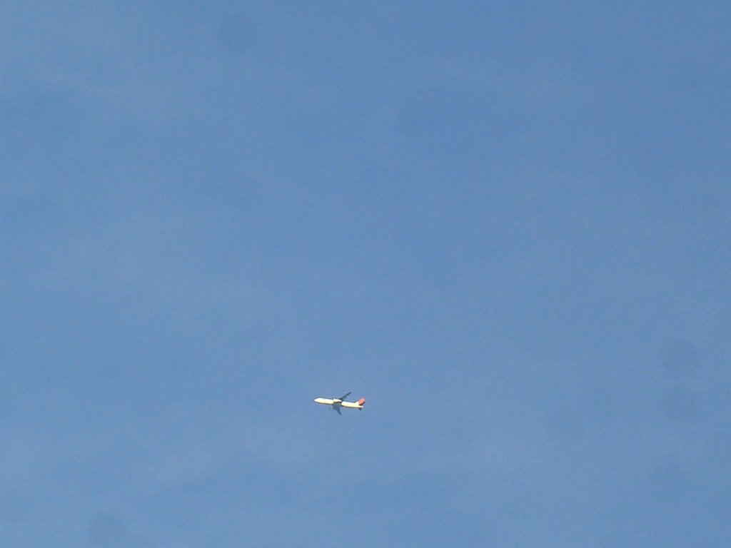 飛行機