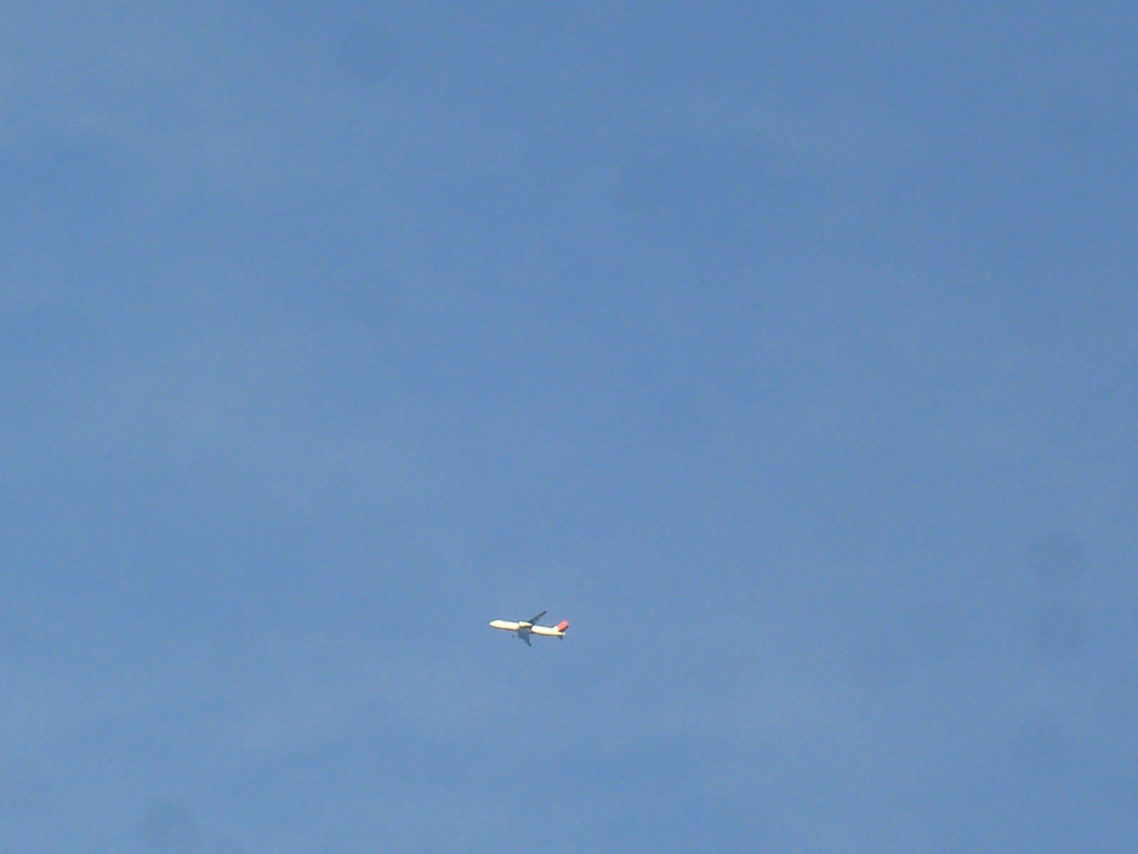 飛行機