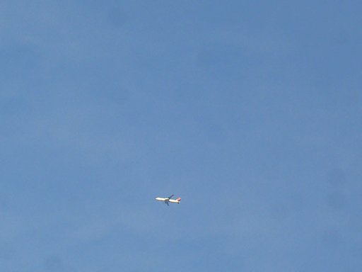 飛行機