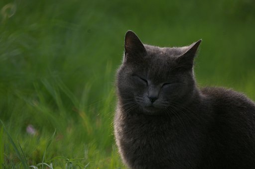 [2008}春に笑う