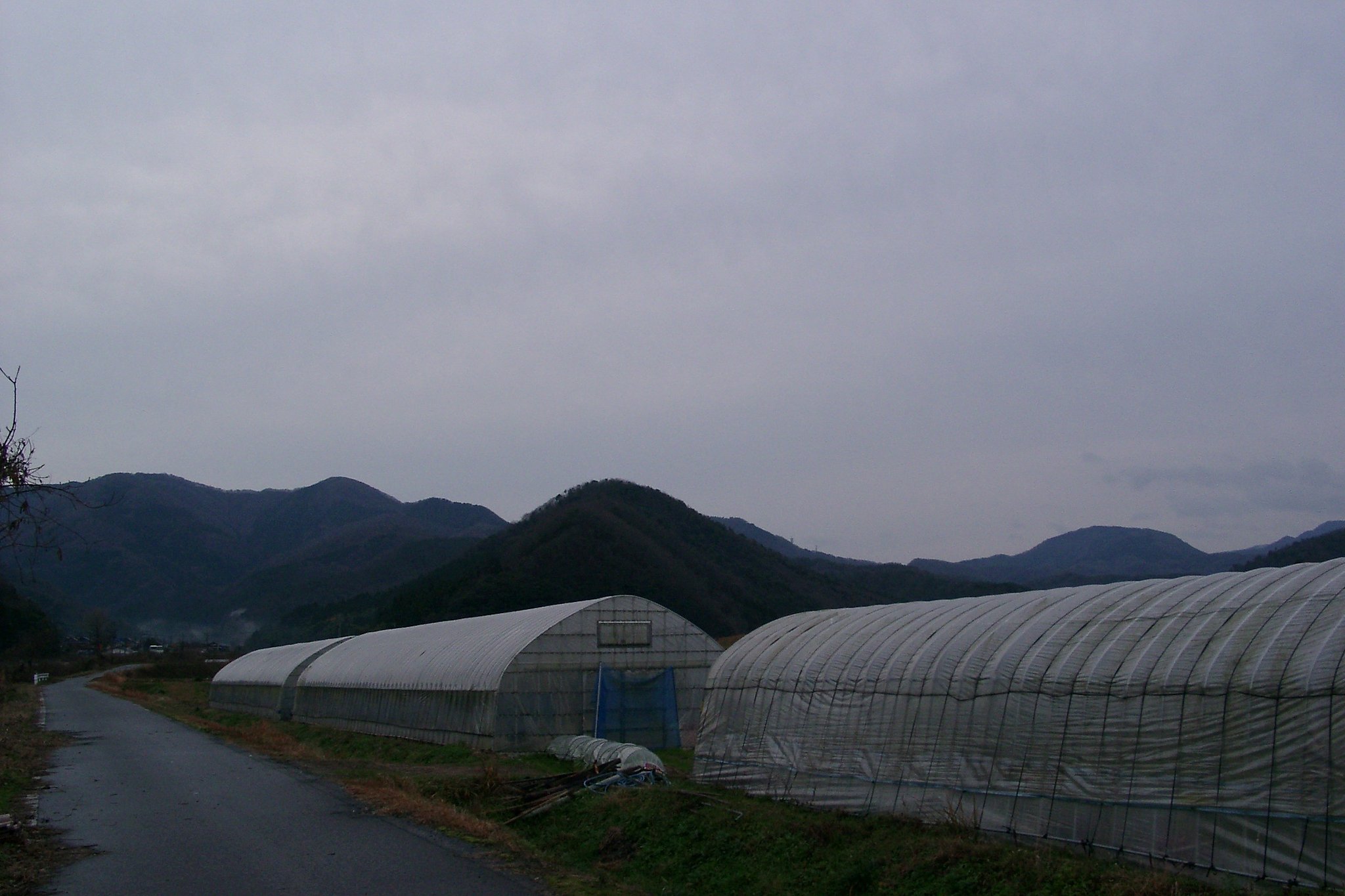 暗い雲に覆われた朝の東の空