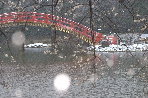 今朝の称名寺