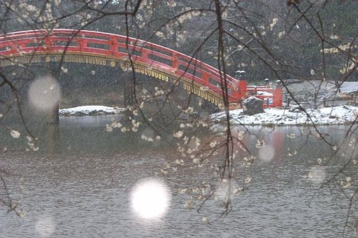今朝の称名寺