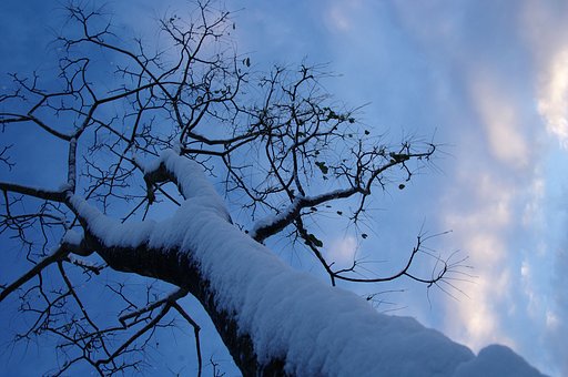 雪の日の朝