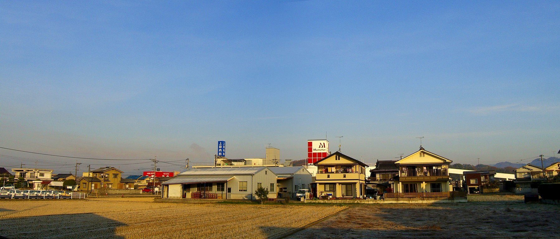 霜の朝