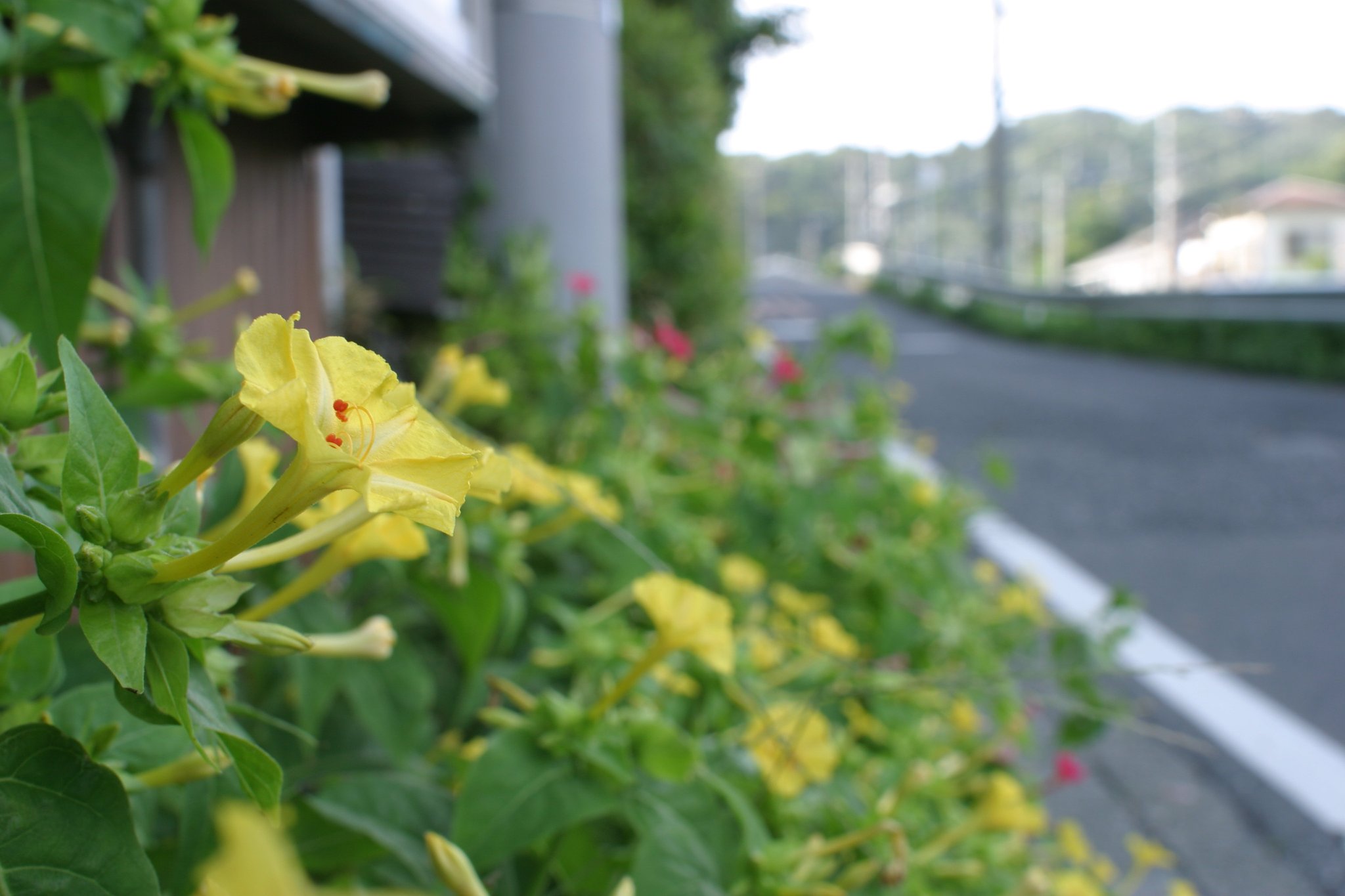 初めての28mm(笑)