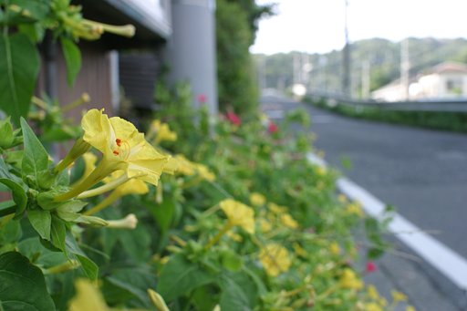 初めての28mm(笑)