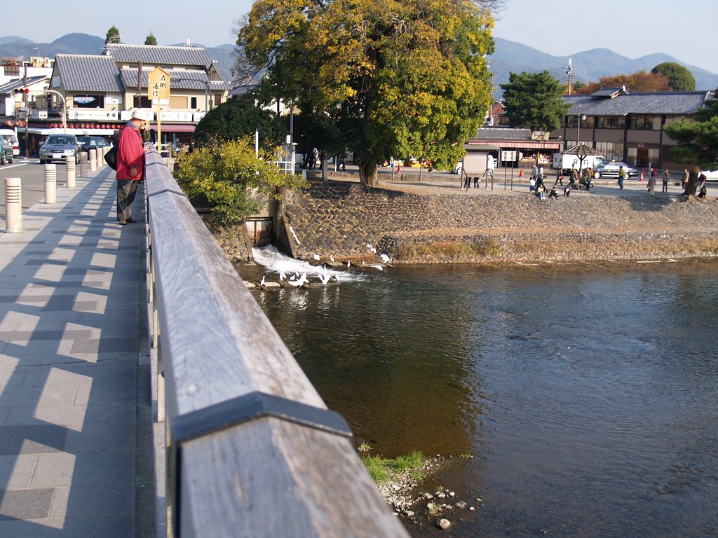 嵐山にて