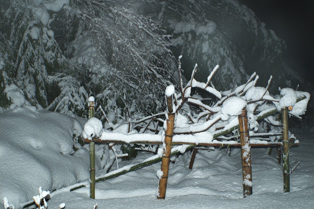 畑の積雪は50−60cmになりました。