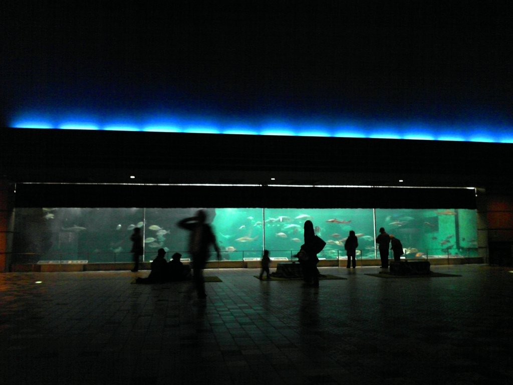 波の大水槽