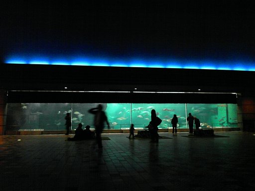 波の大水槽