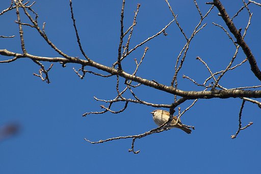 【トキメキの色】青い空のもとで