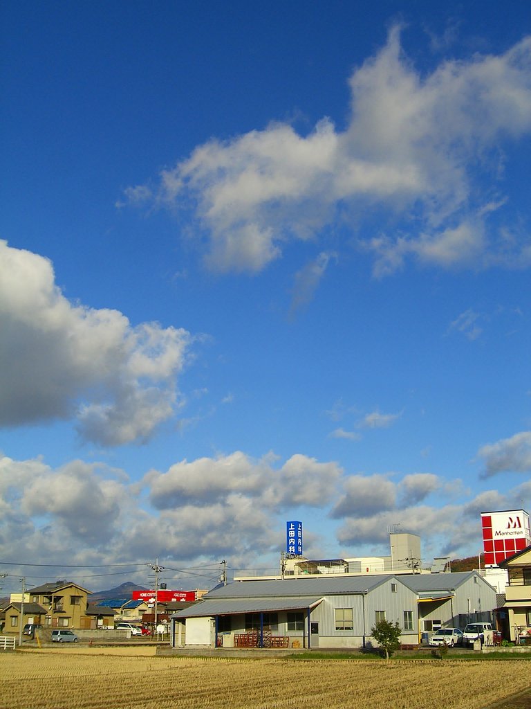 晴れた！