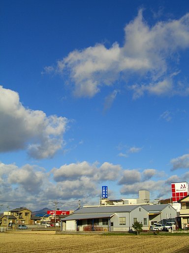 晴れた！