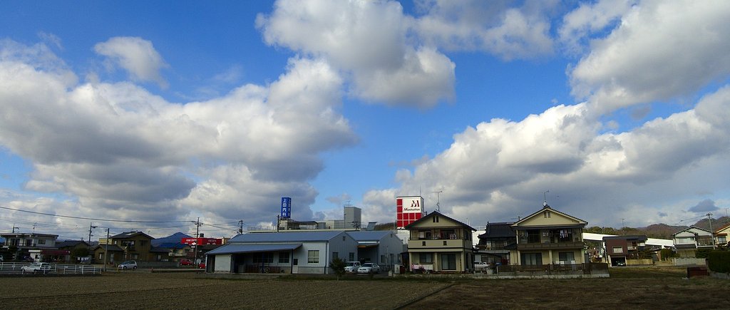 定点観測の空