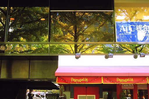 【2008】新御堂Window