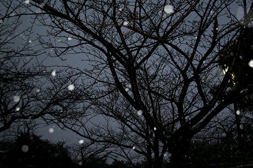 冷たい雨が雪に変わる頃