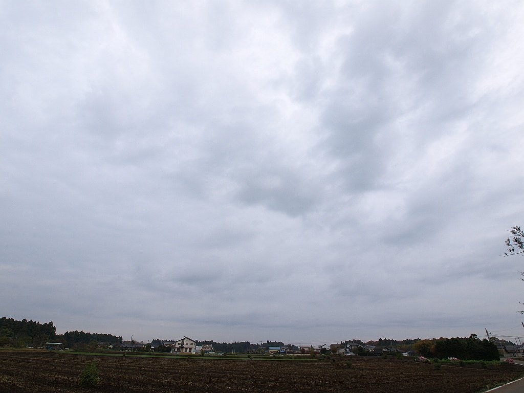 相変らず天気が・・・^^;