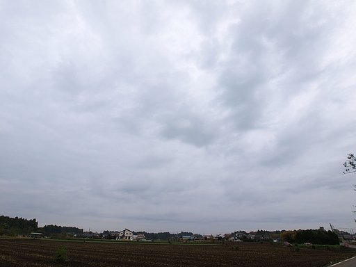 相変らず天気が・・・^^;