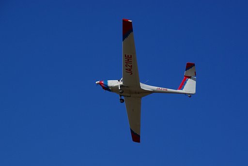 冬の青空に舞う