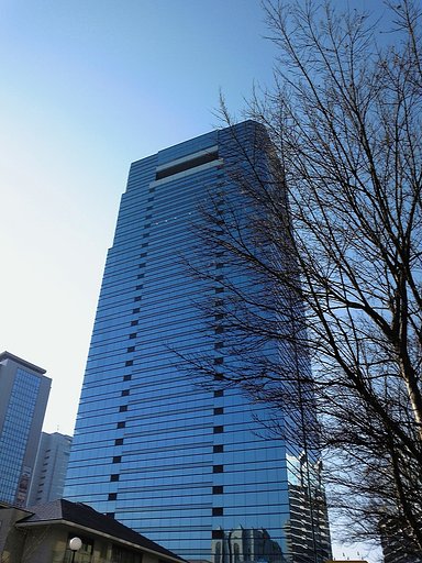 散歩風景2009の1月