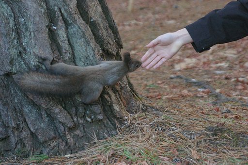 なんかくれるの？
