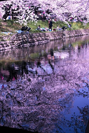 岩倉五条川