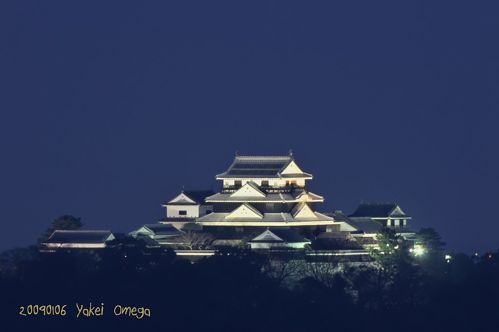 松山城の夜景