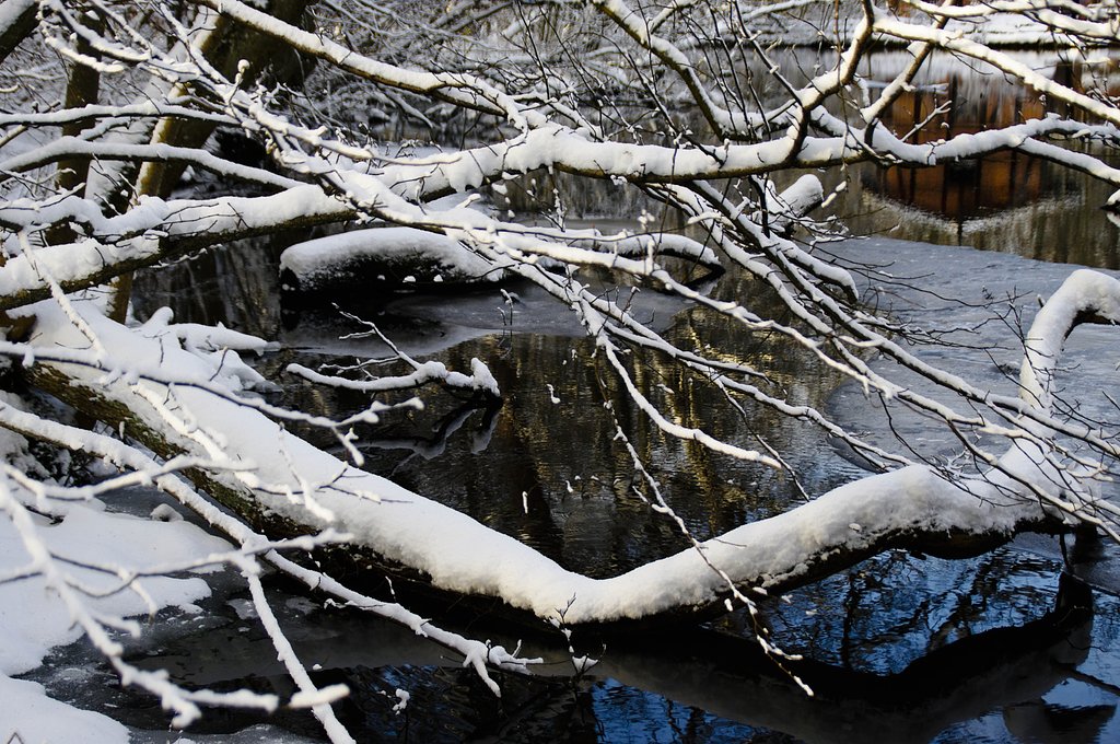 Winter-2