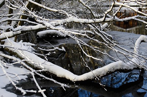 Winter-2