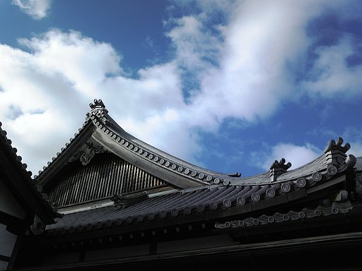 散歩風景2009年1月